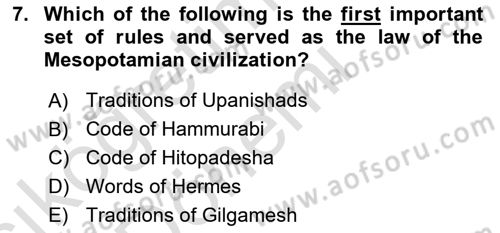 Introduction to World Civilization Dersi Ara Sınavı Deneme Sınav Soruları 7. Soru