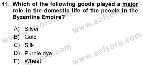 Introduction to World Civilization Dersi 2019 - 2020 Yılı (Final) Dönem Sonu Sınav Soruları 11. Soru