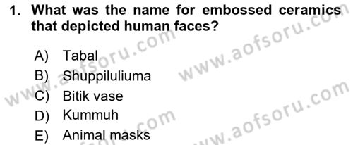 Introduction to World Civilization Dersi 2020 - 2021 Yılı Yaz Okulu Sınav Soruları 1. Soru