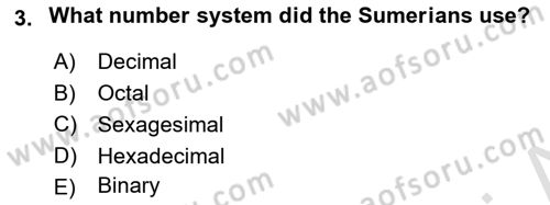 Introduction to World Civilization Dersi 2020 - 2021 Yılı Yaz Okulu Sınav Soruları 3. Soru