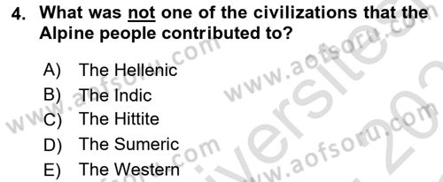 Introduction to World Civilization Dersi 2020 - 2021 Yılı Yaz Okulu Sınav Soruları 4. Soru