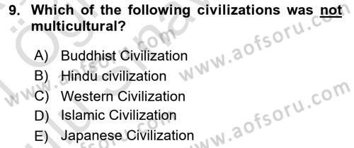 Introduction to World Civilization Dersi 2020 - 2021 Yılı Yaz Okulu Sınav Soruları 9. Soru
