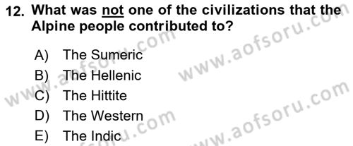 Introduction to World Civilization Dersi 2021 - 2022 Yılı (Vize) Ara Sınav Soruları 12. Soru