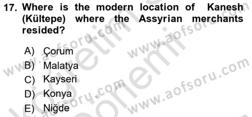 Introduction to World Civilization Dersi Ara Sınavı Deneme Sınav Soruları 17. Soru