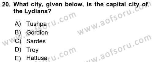 Introduction to World Civilization Dersi Ara Sınavı Deneme Sınav Soruları 20. Soru