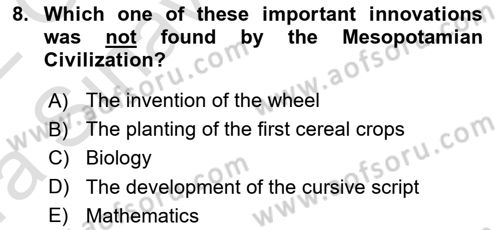 Introduction to World Civilization Dersi 2021 - 2022 Yılı (Vize) Ara Sınav Soruları 8. Soru