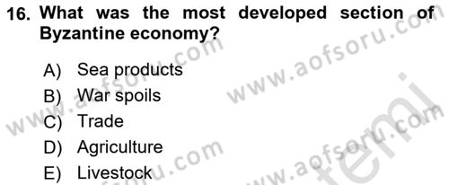 Introduction to World Civilization Dersi 2021 - 2022 Yılı (Final) Dönem Sonu Sınav Soruları 16. Soru
