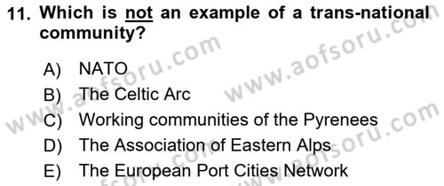 Introduction to World Civilization Dersi 2021 - 2022 Yılı Yaz Okulu Sınav Soruları 11. Soru