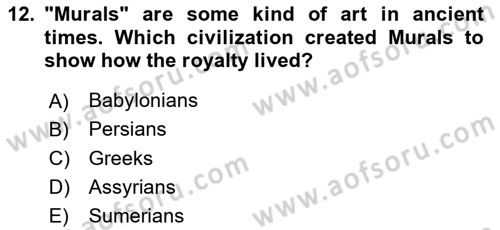 Introduction to World Civilization Dersi 2021 - 2022 Yılı Yaz Okulu Sınav Soruları 12. Soru