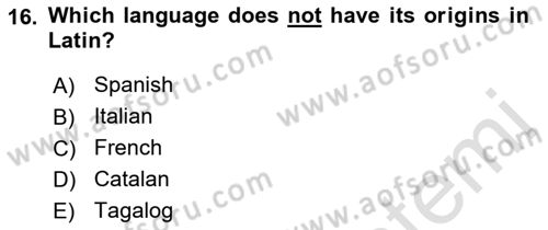 Introduction to World Civilization Dersi 2021 - 2022 Yılı Yaz Okulu Sınav Soruları 16. Soru