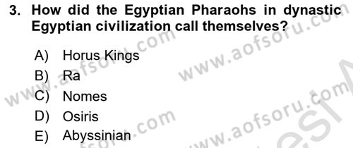 Introduction to World Civilization Dersi 2021 - 2022 Yılı Yaz Okulu Sınav Soruları 3. Soru