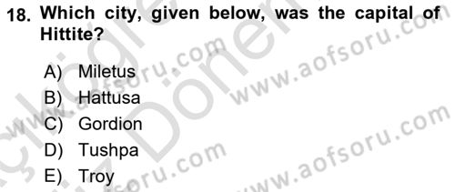 Introduction to World Civilization Dersi Ara Sınavı Deneme Sınav Soruları 18. Soru