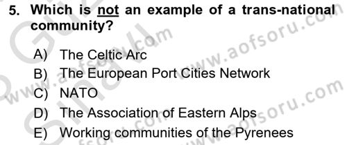 Introduction to World Civilization Dersi Ara Sınavı Deneme Sınav Soruları 5. Soru