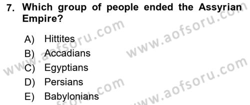 Introduction to World Civilization Dersi Ara Sınavı Deneme Sınav Soruları 7. Soru