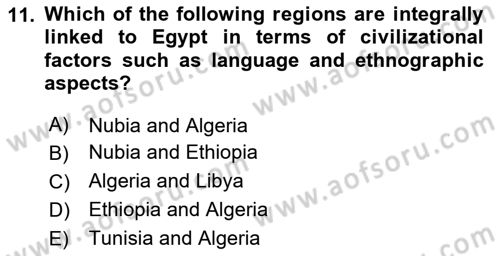 Introduction to World Civilization Dersi 2022 - 2023 Yılı Yaz Okulu Sınav Soruları 11. Soru