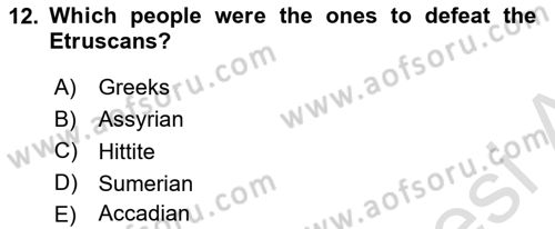 Introduction to World Civilization Dersi 2022 - 2023 Yılı Yaz Okulu Sınav Soruları 12. Soru