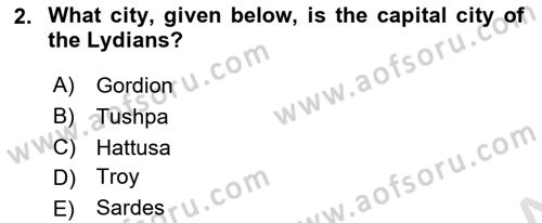 Introduction to World Civilization Dersi 2022 - 2023 Yılı Yaz Okulu Sınav Soruları 2. Soru