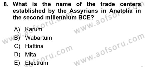 Introduction to World Civilization Dersi 2022 - 2023 Yılı Yaz Okulu Sınav Soruları 8. Soru