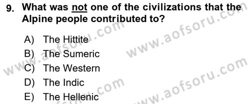 Introduction to World Civilization Dersi 2022 - 2023 Yılı Yaz Okulu Sınav Soruları 9. Soru