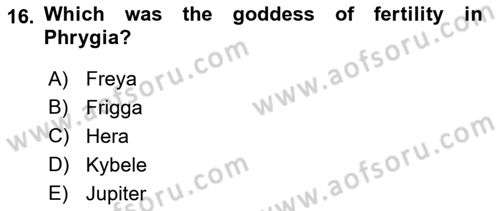 Introduction to World Civilization Dersi Ara Sınavı Deneme Sınav Soruları 16. Soru