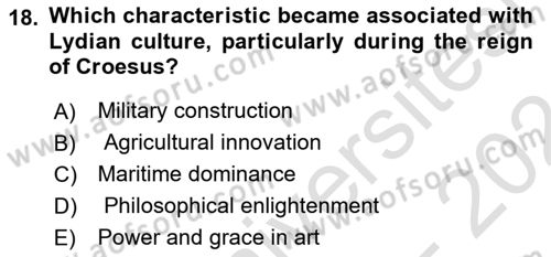 Introduction to World Civilization Dersi Ara Sınavı Deneme Sınav Soruları 18. Soru
