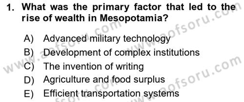 Introduction to World Civilization Dersi 2023 - 2024 Yılı Yaz Okulu Sınav Soruları 1. Soru