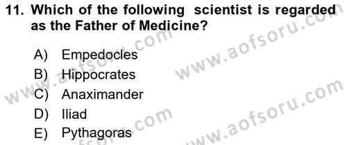 Introduction to World Civilization Dersi 2023 - 2024 Yılı Yaz Okulu Sınav Soruları 11. Soru