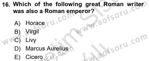 Introduction to World Civilization Dersi 2023 - 2024 Yılı Yaz Okulu Sınav Soruları 16. Soru