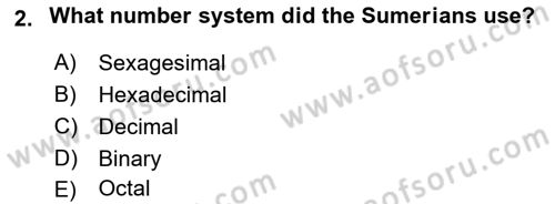 Introduction to World Civilization Dersi 2023 - 2024 Yılı Yaz Okulu Sınav Soruları 2. Soru