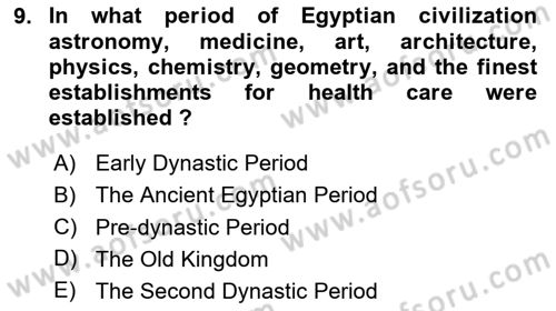 Introduction to World Civilization Dersi 2023 - 2024 Yılı Yaz Okulu Sınav Soruları 9. Soru