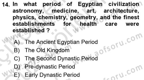 Introduction to World Civilization Dersi 2024 - 2025 Yılı (Vize) Ara Sınav Soruları 14. Soru
