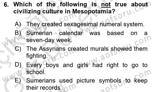 Introduction to World Civilization Dersi Ara Sınavı Deneme Sınav Soruları 6. Soru