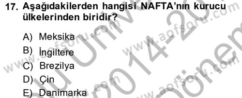Uluslararası İlişkilere Giriş Dersi 2014 - 2015 Yılı (Final) Dönem Sonu Sınav Soruları 17. Soru