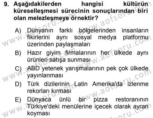 Uluslararası İlişkilere Giriş Dersi 2015 - 2016 Yılı (Vize) Ara Sınav Soruları 9. Soru