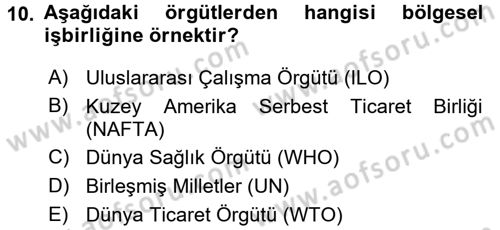 Uluslararası İlişkilere Giriş Dersi 2016 - 2017 Yılı (Vize) Ara Sınav Soruları 10. Soru