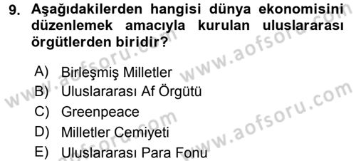 Uluslararası İlişkilere Giriş Dersi 2016 - 2017 Yılı (Vize) Ara Sınav Soruları 9. Soru
