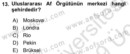 Uluslararası İlişkilere Giriş Dersi 2018 - 2019 Yılı 3 Ders Sınav Soruları 13. Soru