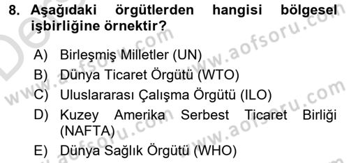 Uluslararası İlişkilere Giriş Dersi 2018 - 2019 Yılı 3 Ders Sınav Soruları 8. Soru