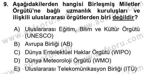 Uluslararası İlişkilere Giriş Dersi 2018 - 2019 Yılı (Final) Dönem Sonu Sınav Soruları 9. Soru