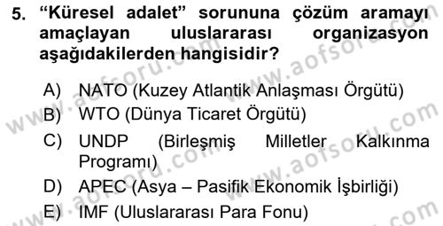 Uluslararası İlişkilere Giriş Dersi 2018 - 2019 Yılı Yaz Okulu Sınav Soruları 5. Soru