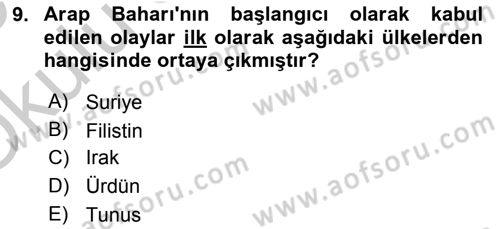 Uluslararası İlişkilere Giriş Dersi 2018 - 2019 Yılı Yaz Okulu Sınav Soruları 9. Soru