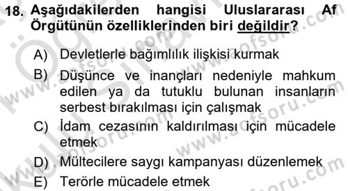 Uluslararası İlişkilere Giriş Dersi 2020 - 2021 Yılı Yaz Okulu Sınav Soruları 18. Soru
