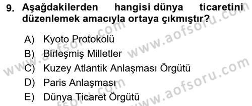 Uluslararası İlişkilere Giriş Dersi 2020 - 2021 Yılı Yaz Okulu Sınav Soruları 9. Soru