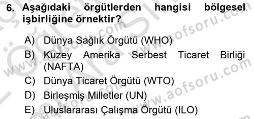 Uluslararası İlişkilere Giriş Dersi 2021 - 2022 Yılı (Vize) Ara Sınav Soruları 6. Soru