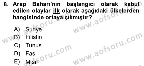 Uluslararası İlişkilere Giriş Dersi 2021 - 2022 Yılı (Vize) Ara Sınav Soruları 8. Soru