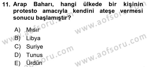 Uluslararası İlişkilere Giriş Dersi 2022 - 2023 Yılı Yaz Okulu Sınav Soruları 11. Soru