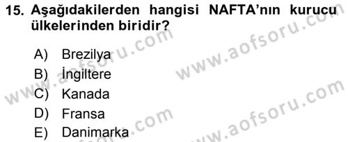 Uluslararası İlişkilere Giriş Dersi 2022 - 2023 Yılı Yaz Okulu Sınav Soruları 15. Soru