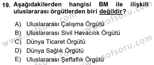 Uluslararası İlişkilere Giriş Dersi 2022 - 2023 Yılı Yaz Okulu Sınav Soruları 19. Soru