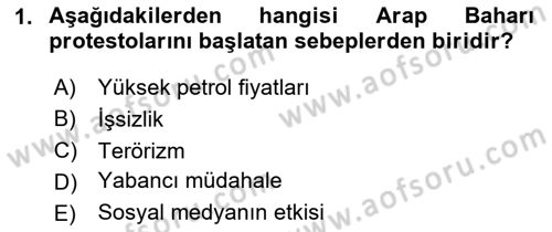 Uluslararası İlişkilere Giriş Dersi 2023 - 2024 Yılı (Vize) Ara Sınav Soruları 1. Soru