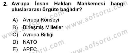 Uluslararası İlişkilere Giriş Dersi 2023 - 2024 Yılı (Vize) Ara Sınav Soruları 2. Soru
